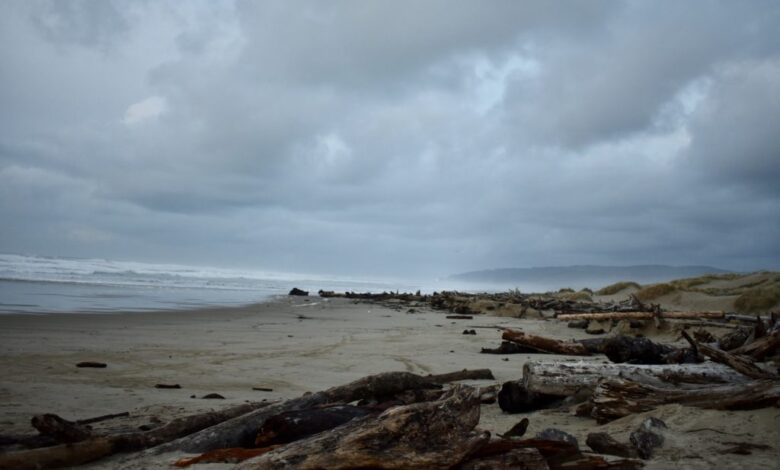 Florence Oregon Weather: Your Ultimate Guide to the Forecast Florence Oregon Weather