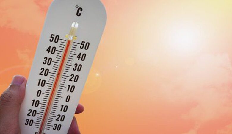 Temperature Today in Lithuania: 12°C, Scattered Showers, and 10-Day Forecast temperature today
